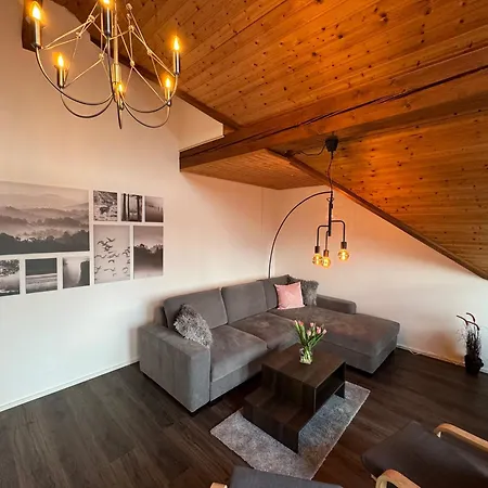 Апартаменты Odenwaldpanorama