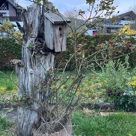 Апартаменты Odenwaldpanorama Klein Gumpen