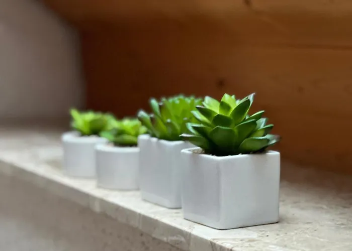 Odenwaldpanorama Lägenhet Klein Gumpen