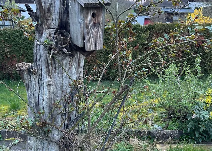 Lägenhet Odenwaldpanorama Klein Gumpen